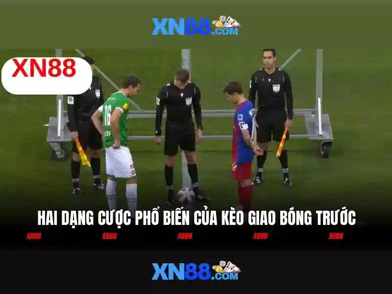 An toàn và hỗ trợ khách hàng