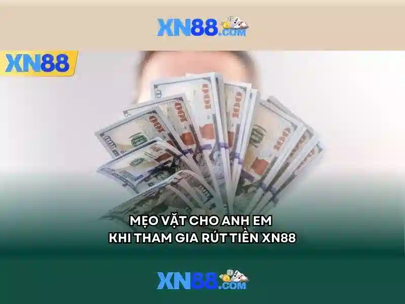 Nền tảng và giấy phép
