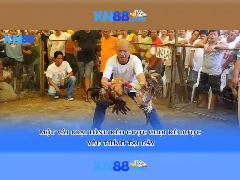An toàn và bảo mật\n<p><span style=