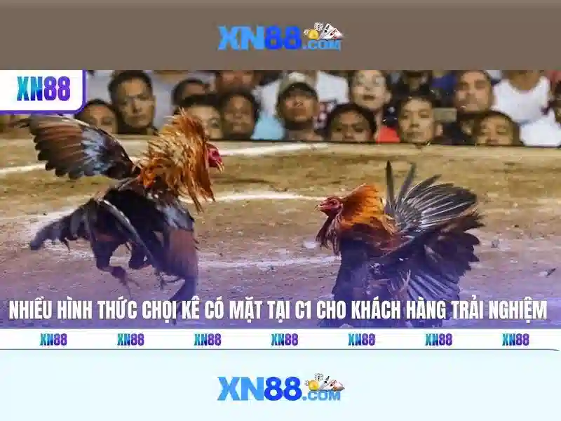 Khuyến mãi và chương trình thành viên