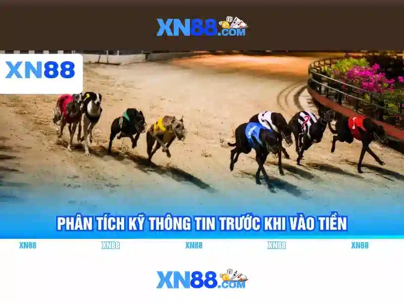 Giới thiệu về xn88