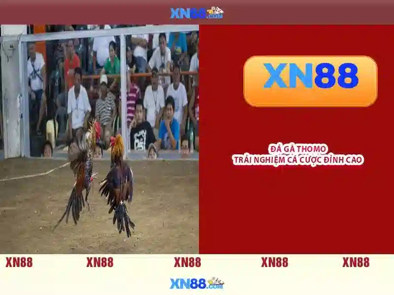 Sản phẩm và Dịch vụ chính của xn88 slot login