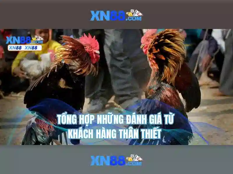 Tính năng nổi bật của xn88