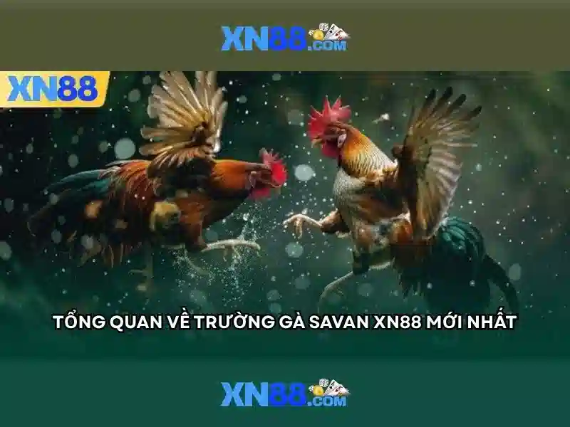 nhà cái xn88 - Trải nghiệm uy tín và hấp dẫn