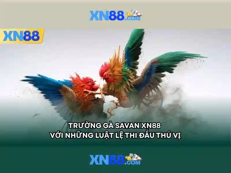 Trải nghiệm người dùng và phản hồi cộng đồng