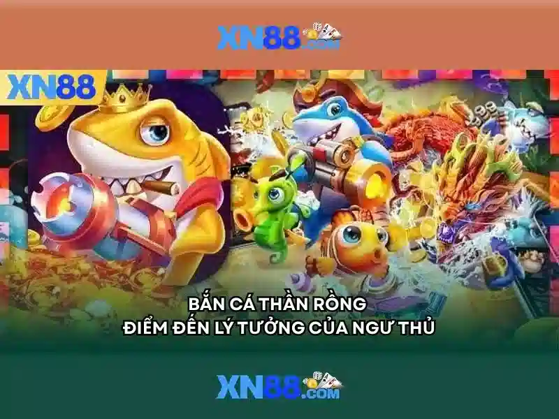 Xn88 là gì? Khái quát về nền tảng xn88