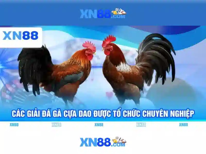 xn88: Nền tảng giải trí và đánh giá trực tuyến