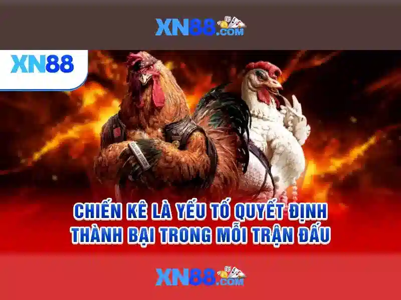 Trải nghiệm người dùng và phản hồi cộng đồng