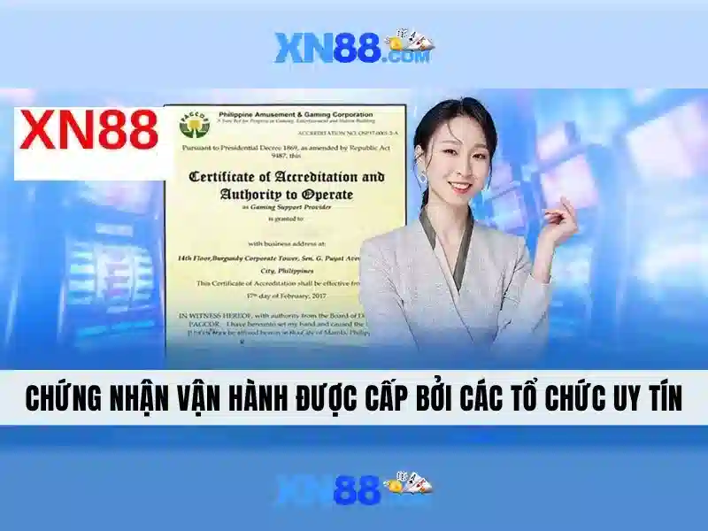 Giới thiệu về xn88