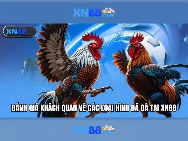 xn88 voq33.za.com: Trải nghiệm và chiến lược thương hiệu