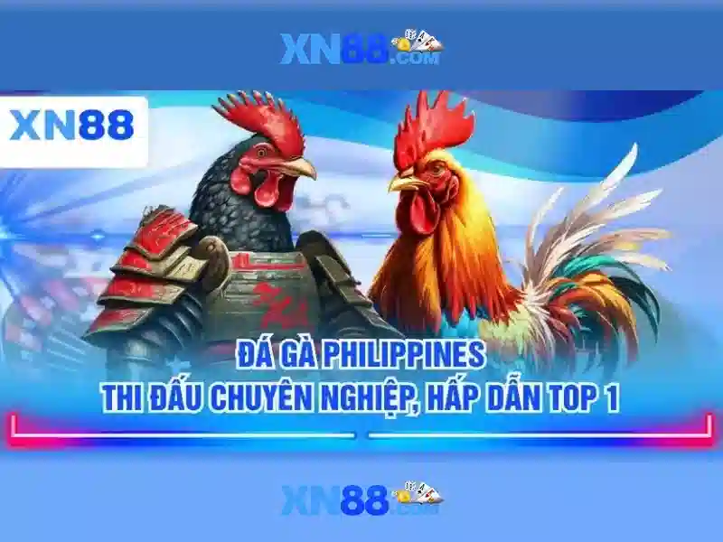 Giới thiệu về xn88
