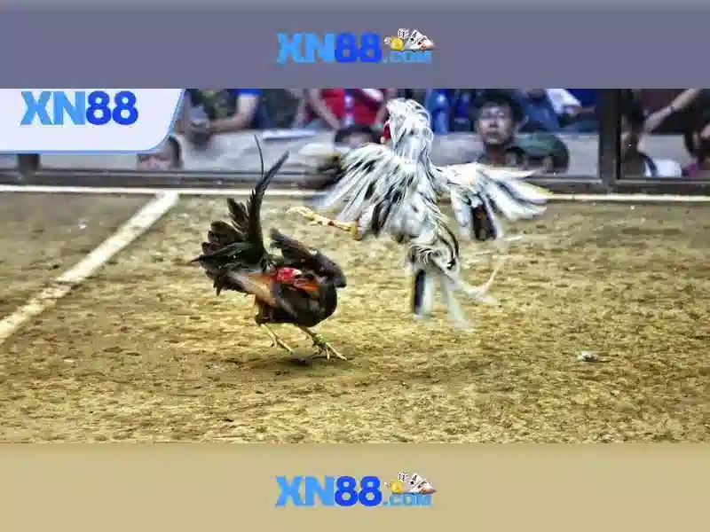 xn88 - Nền tảng game trực tuyến và hướng dẫn cơ bản
