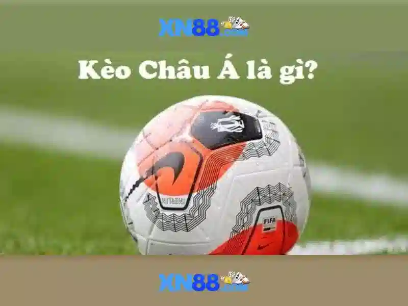 Phương thức thanh toán và hỗ trợ khách hàng