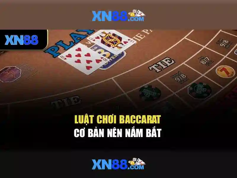 An toàn và đánh giá người dùng
