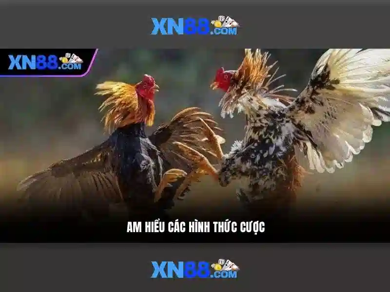 Giới thiệu về XN88