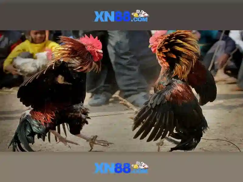 Xn88: Nền tảng chơi online tại Việt Nam