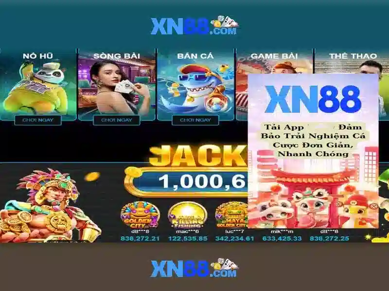 Hỗ trợ và cộng đồng