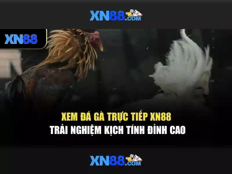 Giới thiệu xn88