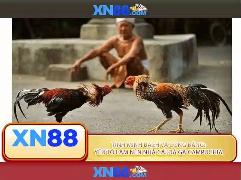 Hướng dẫn sử dụng