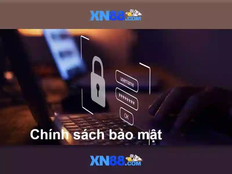 Các dịch vụ chính