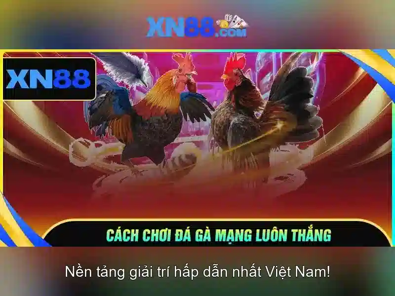Giới thiệu xn88