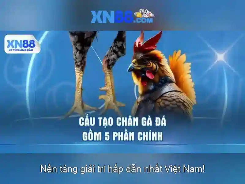 Lịch sử và nguồn gốc của xn88