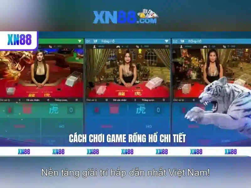 Giới thiệu về xn88