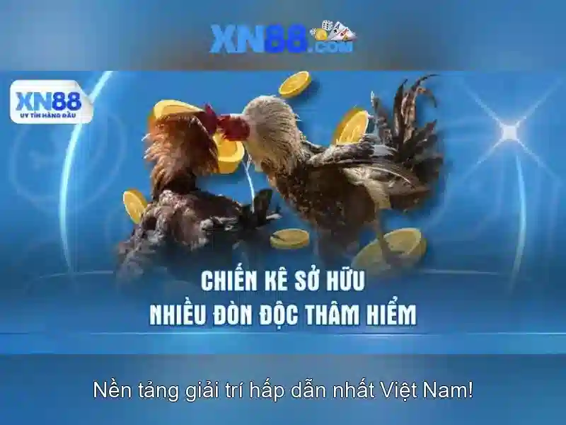 xn88: Đánh giá và trải nghiệm nền tảng cược trực tuyến