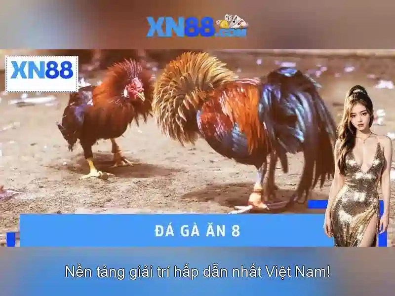 An toàn và bảo mật cho người chơi
