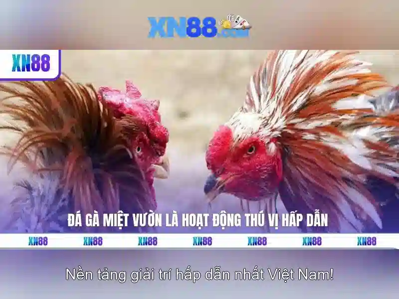 Hướng dẫn an toàn khi tham gia