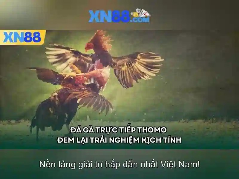 Gioi thieu xn88