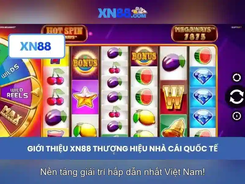 Nền tảng và đặc điểm