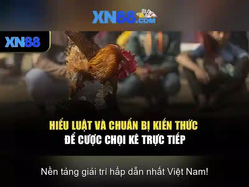 Khuyến mãi và an toàn người chơi