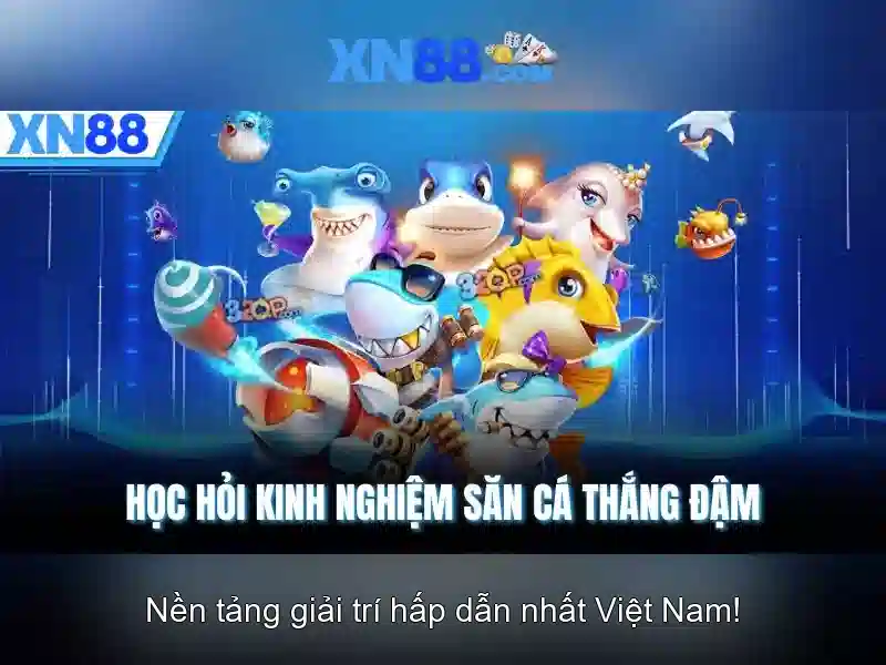 Ứng dụng và tầm ảnh hưởng