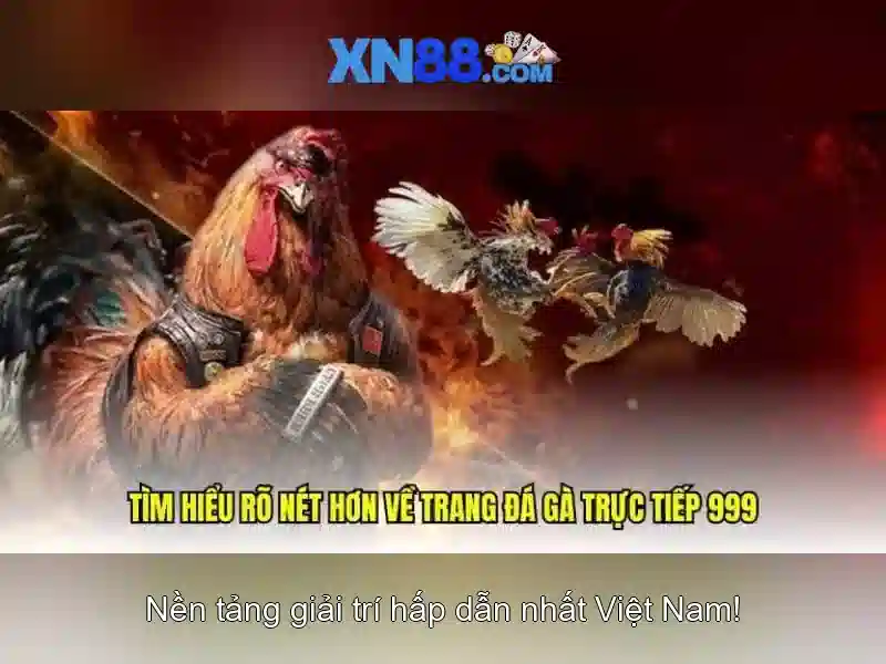 Các dịch vụ chính của xn88\n\n<h4>An toàn và bảo mật tại xn88</h4>\n<p><span style=