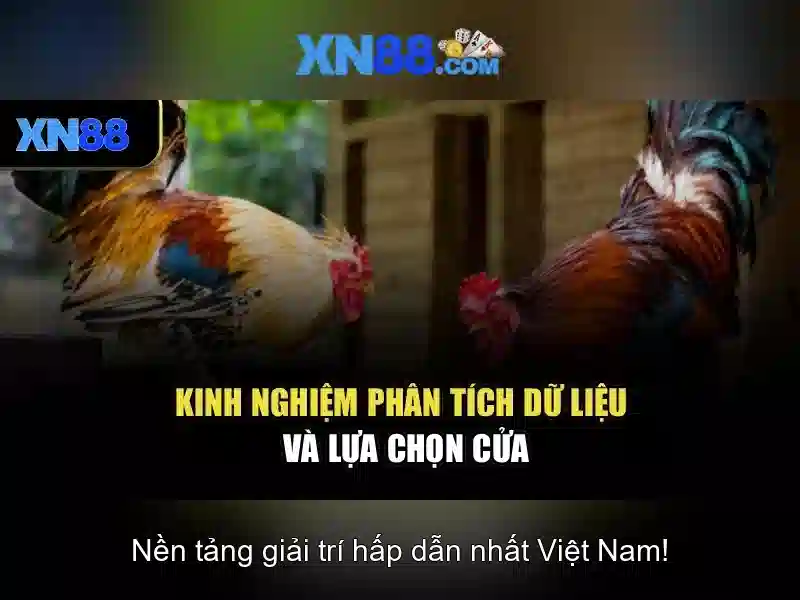 Lợi ích và tính năng của xn88