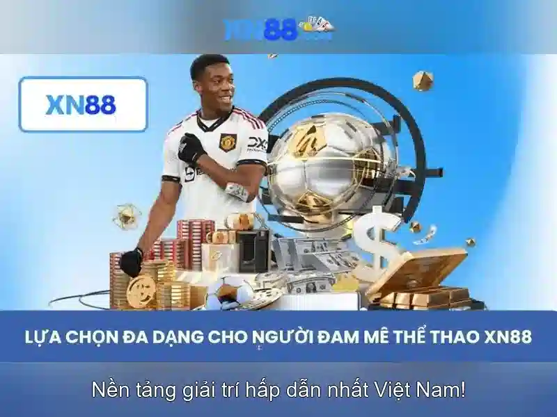 Lịch sử và nền tảng