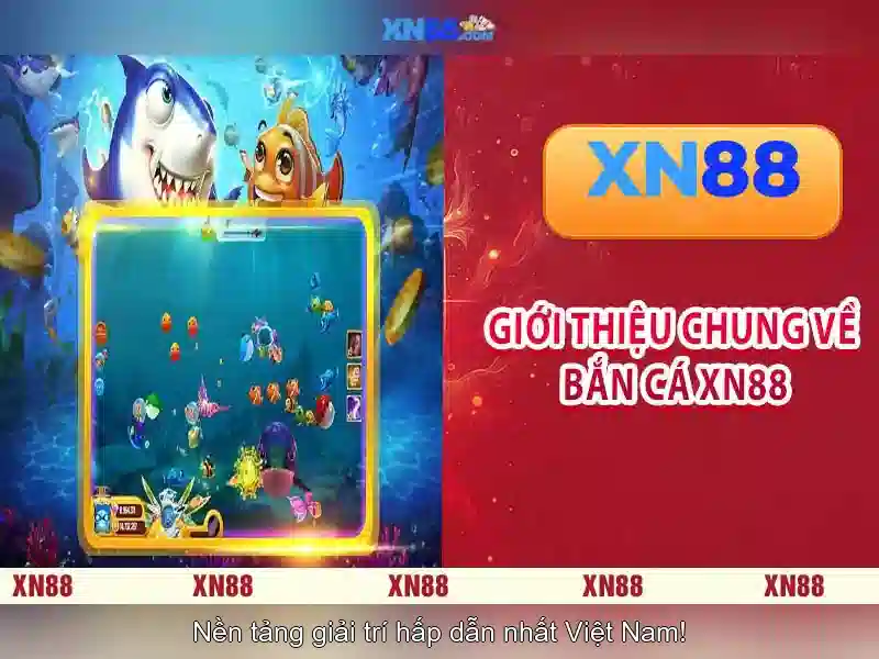 Cách hoạt động và chức năng