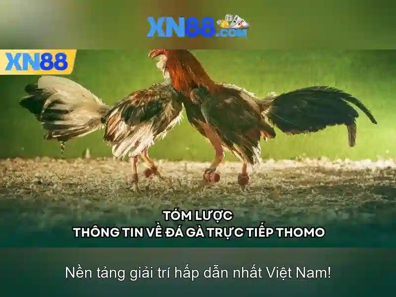 Trải nghiệm người dùng và phản hồi cộng đồng