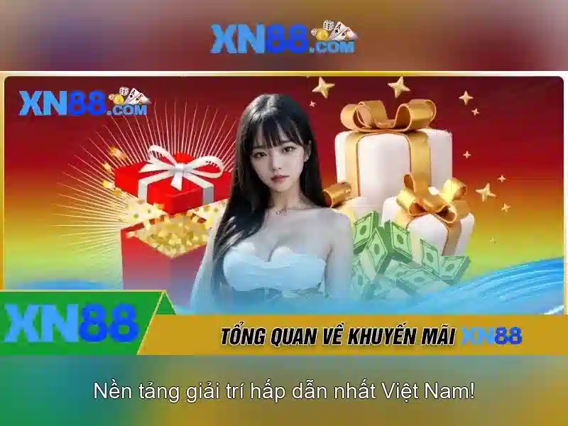 Kết luận và lời khuyên cho người mới