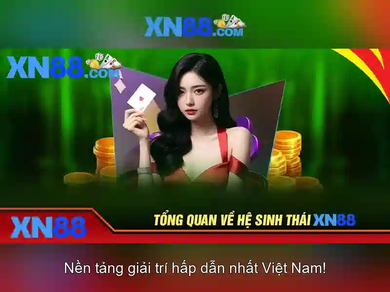 Hướng dẫn bắt đầu