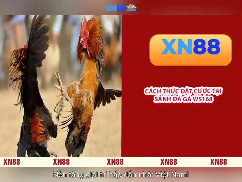Tính năng nổi bật