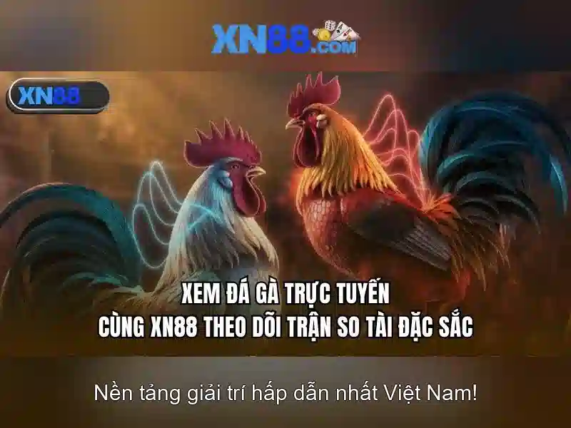 An toàn thông tin khi sử dụng xn88