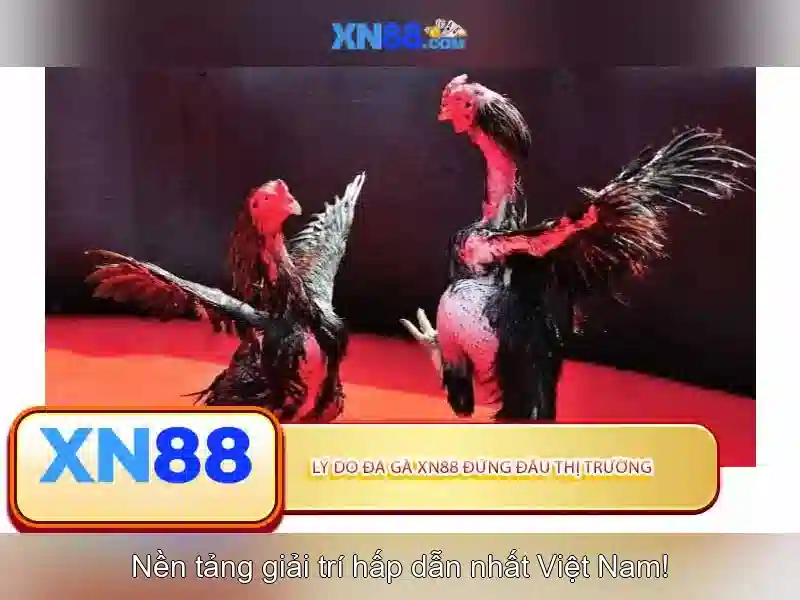 xn88: Nền tảng trò chơi trực tuyến và cộng đồng người chơi