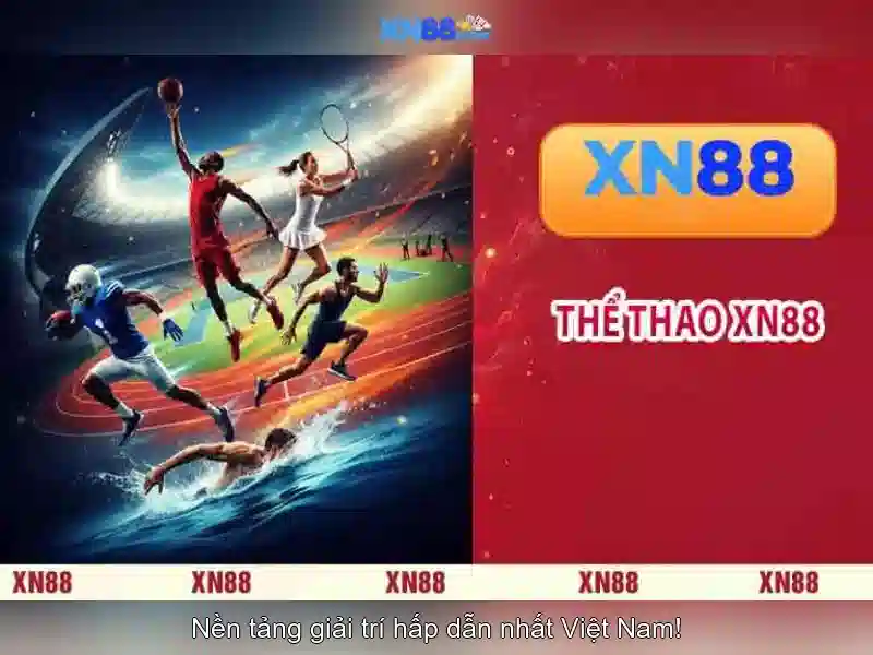 Hướng dẫn sử dụng