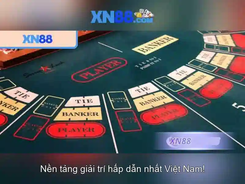 An toàn và giấy phép