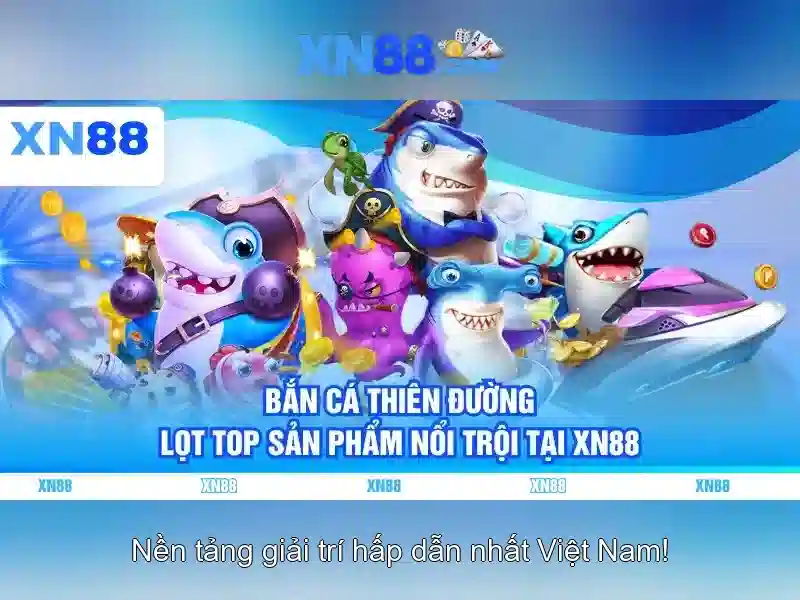 Trải nghiệm người dùng và giao diện