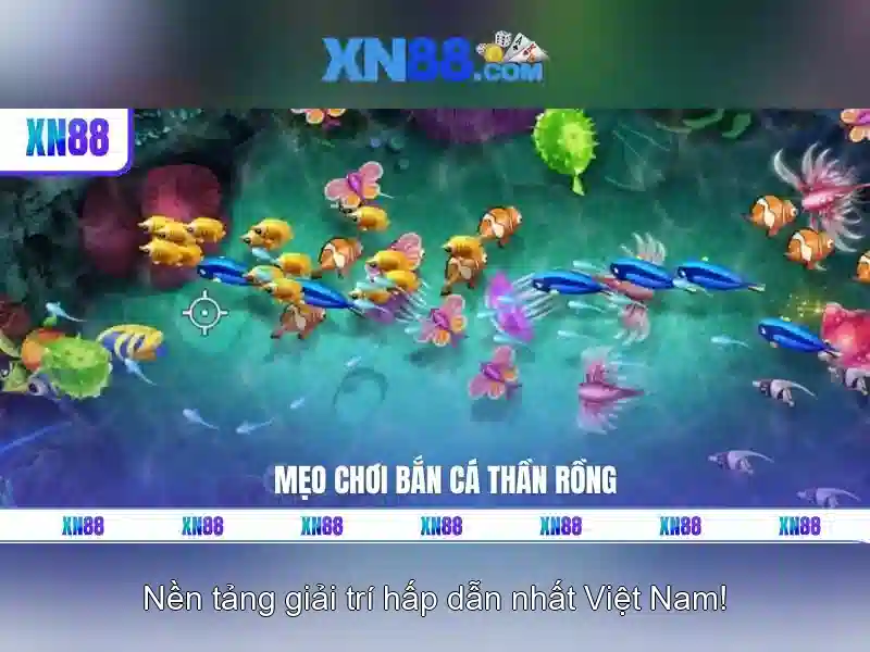 Giới thiệu về xn88 và hệ sinh thái cá cược trực tuyến