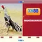XN88: Nền tảng chơi và cá cược trực tuyến - Tổng quan