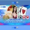 xn88 bet vip: Trải nghiệm đỉnh cao và giá trị thương hiệu